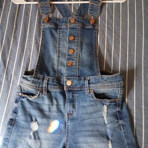 Celebrity Pink Classic Blue Overalls